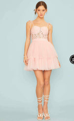 Mesh Skirt Lace Baby Pink Dress