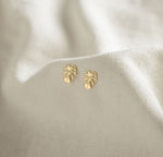POS - Monstera Leaf Studs Goldfilled