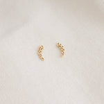 POS - Arboria Studs