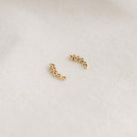 POS - Arboria Studs