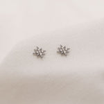 POS -  Starlight Studs